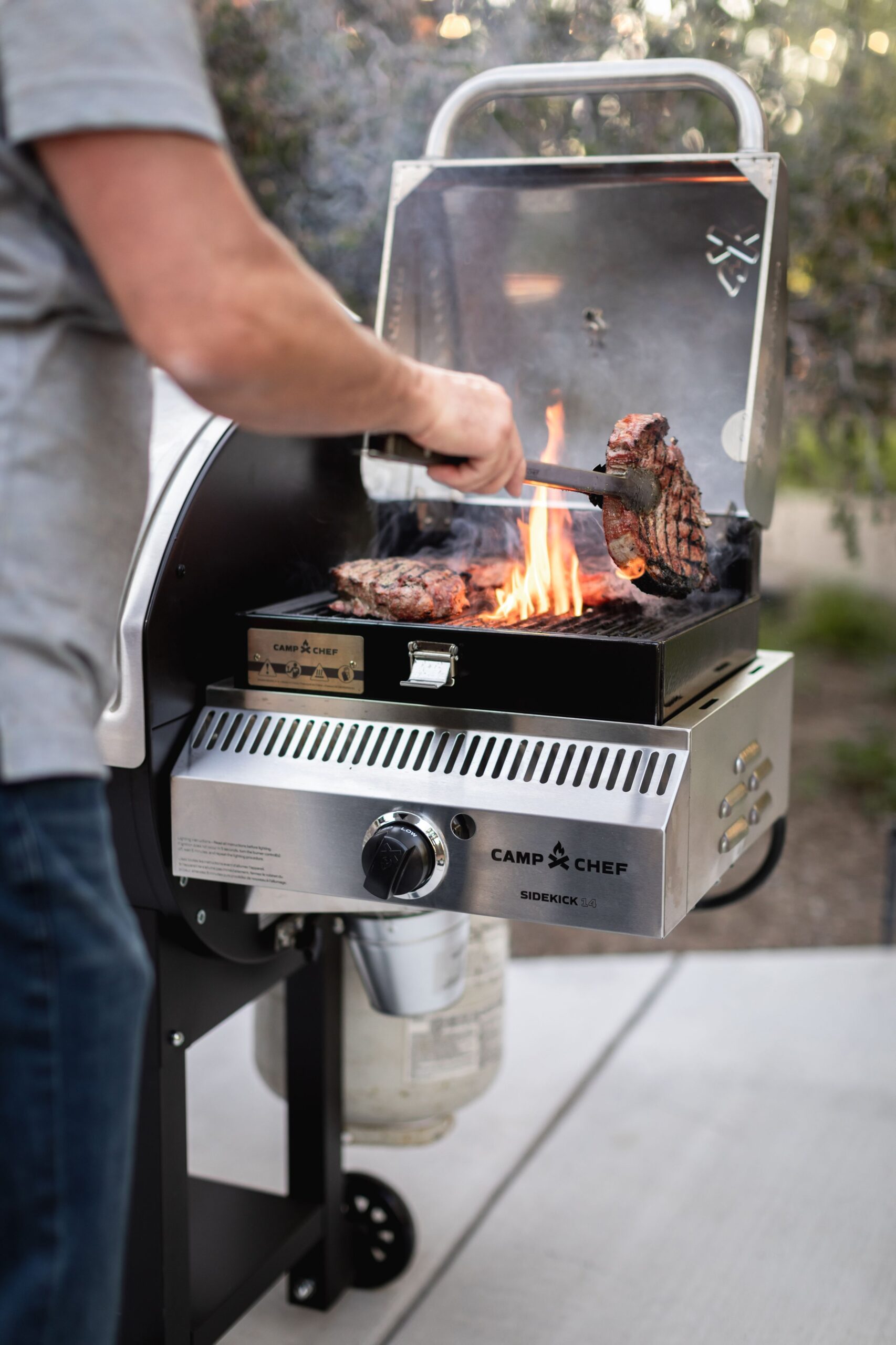 Charcoal / Pellet/Pizza Ovens Federal Fireplace